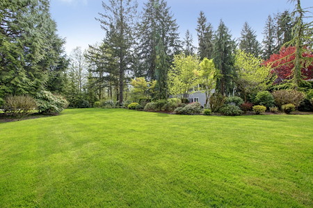 Aeration in Newnan: Signs Your Lawn Needs It (and What to Expect)