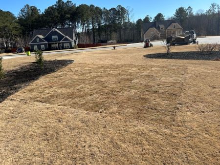 Newnan Homeowner’s Guide to Sod vs. Seed for a Thicker Lawn